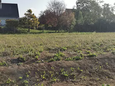 Maison neuve, 69 m²