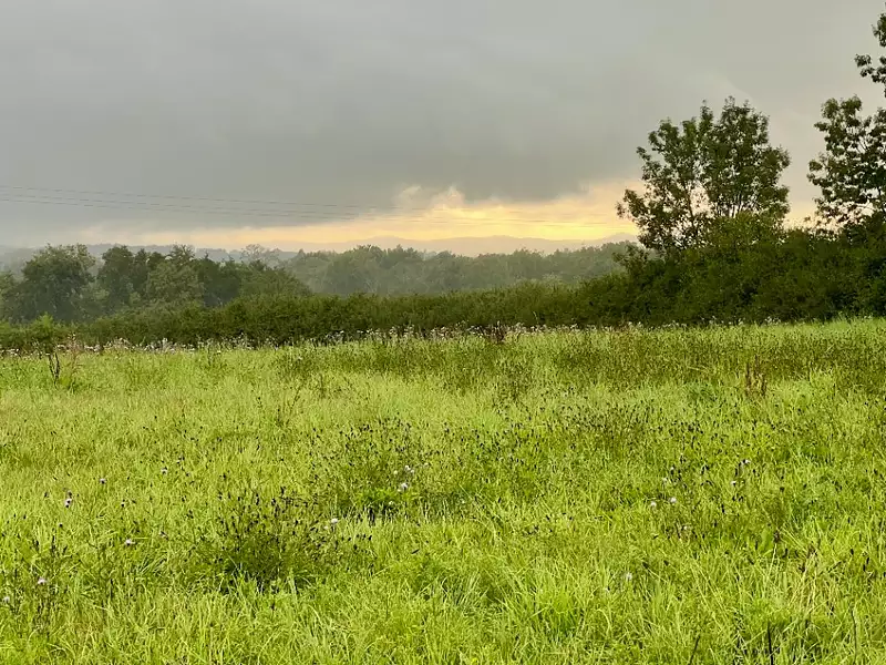 Terrain à bâtir, 1 757 m² - Polliat (01310)