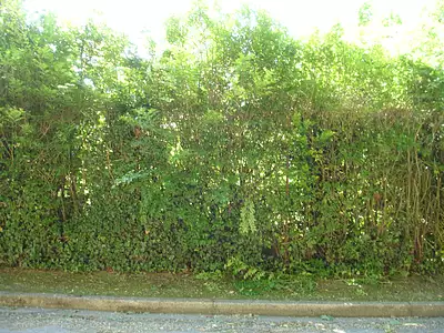 Maison neuve, 92 m²