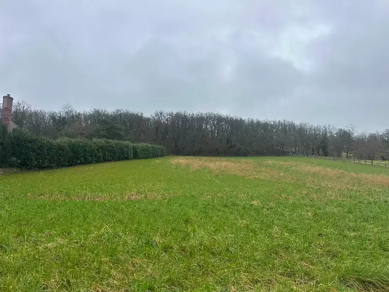 Terrain à bâtir, 2 700 m² - Boissy-sous-Saint-Yon (91790)