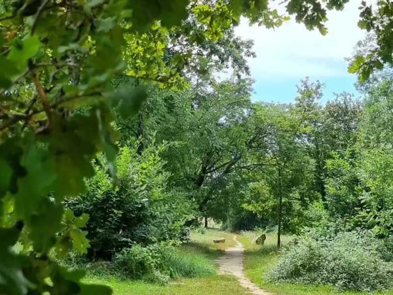 Terrain à bâtir, 300 m² - Floirac (33270)