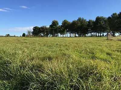 Terrain à bâtir, 589 m²