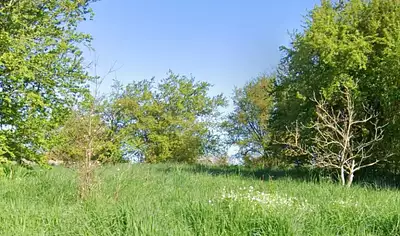 Maison neuve, 110 m²