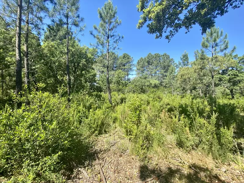 Terrain à bâtir, 930 m² - Le Barp (33114)