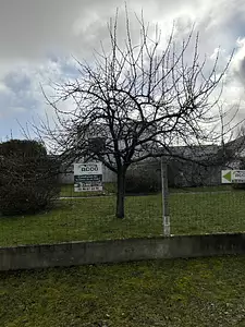 Terrain à bâtir, 305 m²