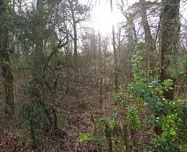 Terrain à bâtir, 1 194 m²