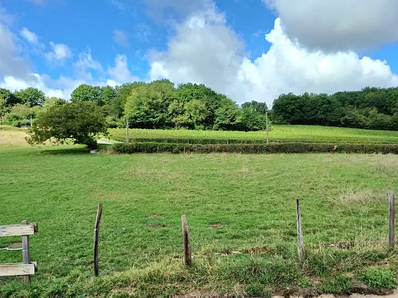 Terrain à bâtir, 1 405 m² - Lugny (71260)