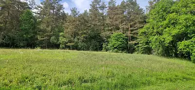 Terrain à bâtir, 957 m²