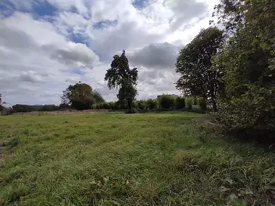 Terrain à bâtir, 800 m²