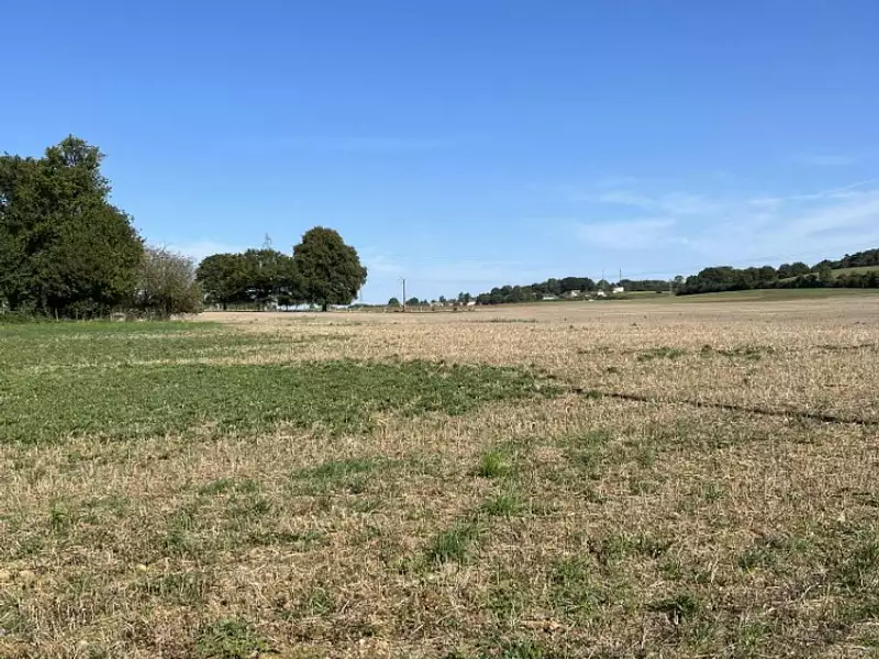 Terrain à bâtir, 1 557 m² - Béthon (72610)