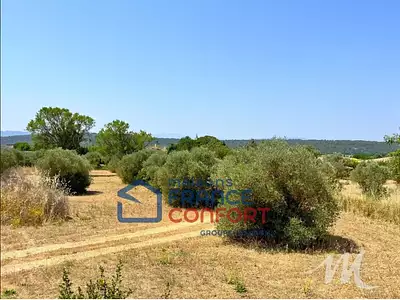 Terrain à bâtir, 2 587 m²