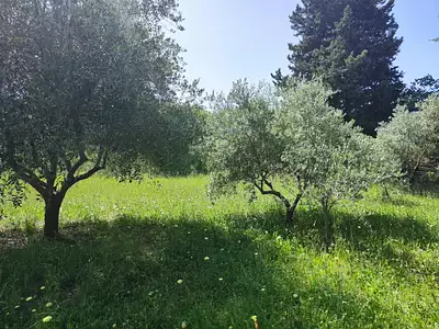 Terrain à bâtir, 490 m²