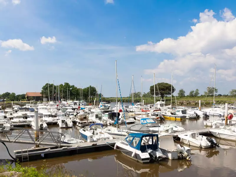 Le Clos des Grands Pins - Le Teich (33470)