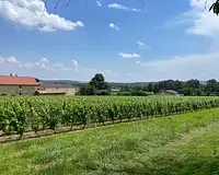 Maison neuve, 90 m²