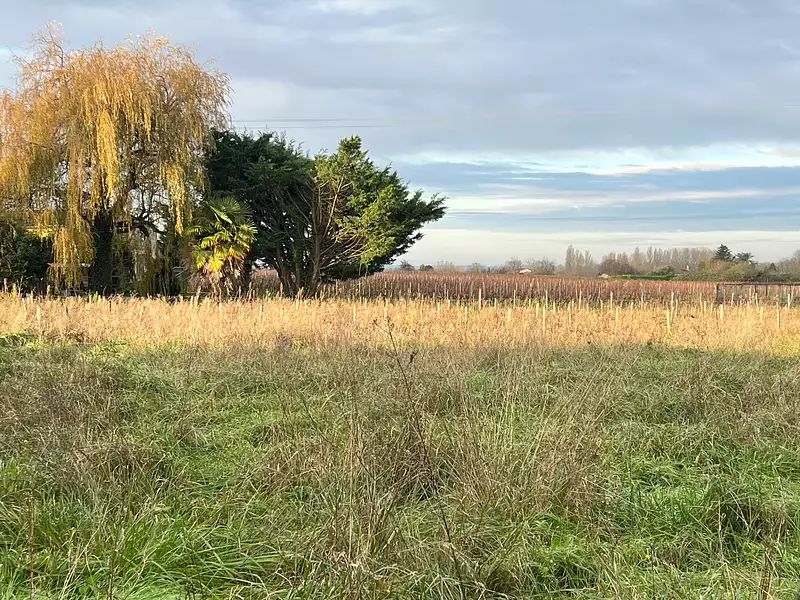 Maison neuve, 100 m² - Montussan (33450)