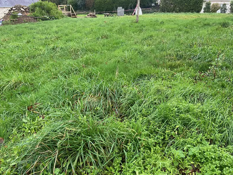 Terrain à bâtir, 540 m² - Assérac (44410)