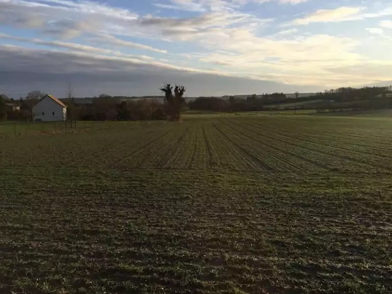 Maison neuve, 63 m² - Les Ormes (86220)