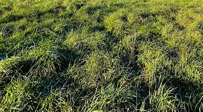 Maison neuve, 138 m²