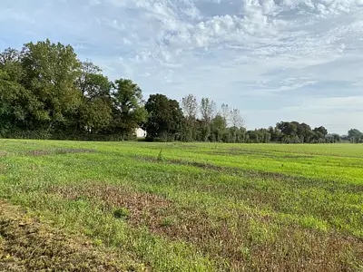 Maison neuve, 145 m²