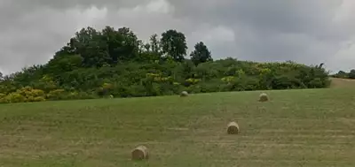 Terrain à bâtir, 1 700 m²