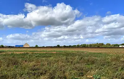 Maison neuve, 75 m²