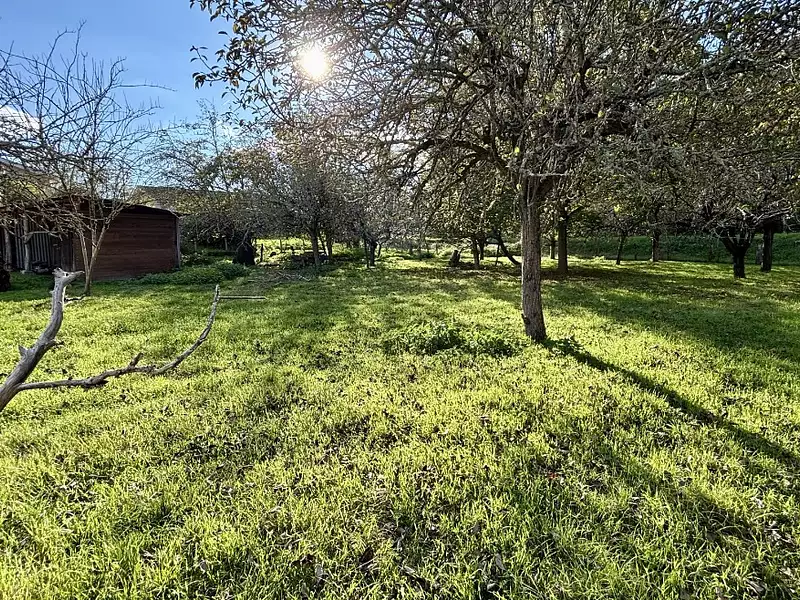 Terrain à bâtir, 917 m² - Bazas (33430)