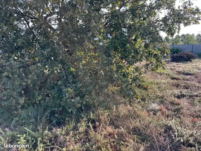 Terrain à bâtir, 600 m² - Bénesse-Maremne (40230)