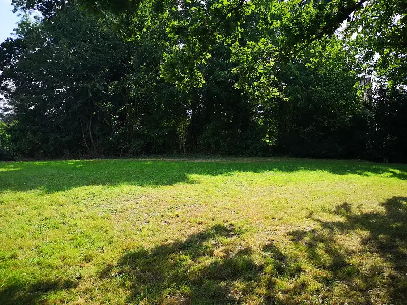 Maison neuve, 120 m² - Bois-d'Arcy (78390)