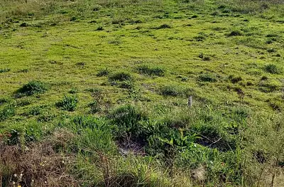 Terrain à bâtir, 502 m²