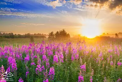 Maison neuve, 120 m²