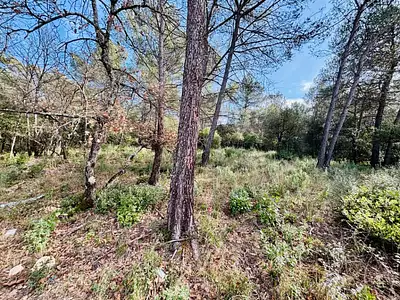 Terrain à bâtir, 964 m²