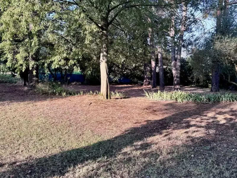 Terrain à bâtir, 1 534 m² - Saint-Rémy-de-Provence (13210)