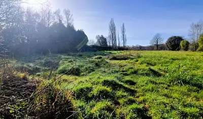 Maison neuve, 75 m²