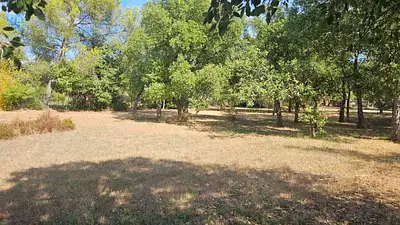 Terrain à bâtir, 1 007 m²