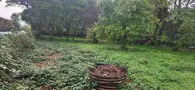 Terrain à bâtir, 1 292 m²