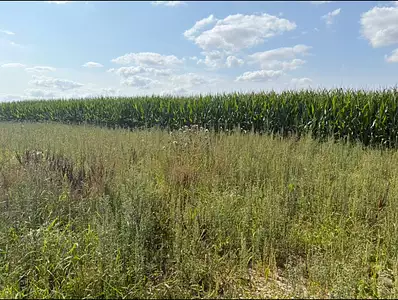 Maison neuve, 75 m²