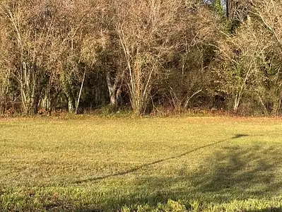 Maison neuve, 60 m²