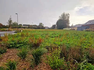 Maison neuve, 86 m²