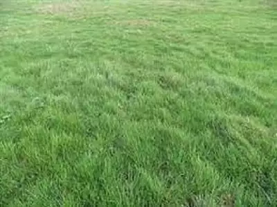 Maison neuve, 90 m²