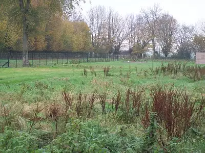 Terrain à bâtir, 1 000 m²