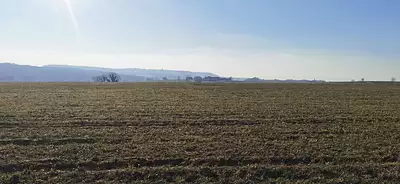 Terrain à bâtir, 1 231 m²