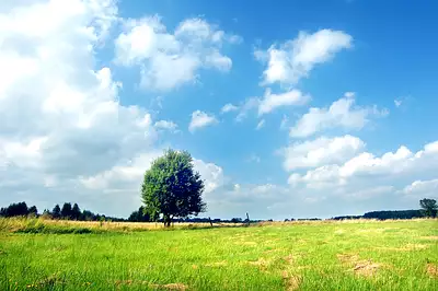 Terrain à bâtir, 338 m²