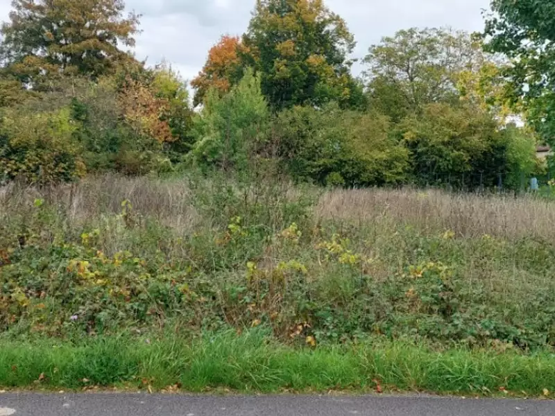 Terrain à bâtir, 710 m² - Egreville (77620)