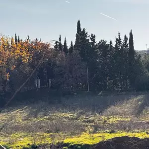 Terrain à bâtir, 699 m²