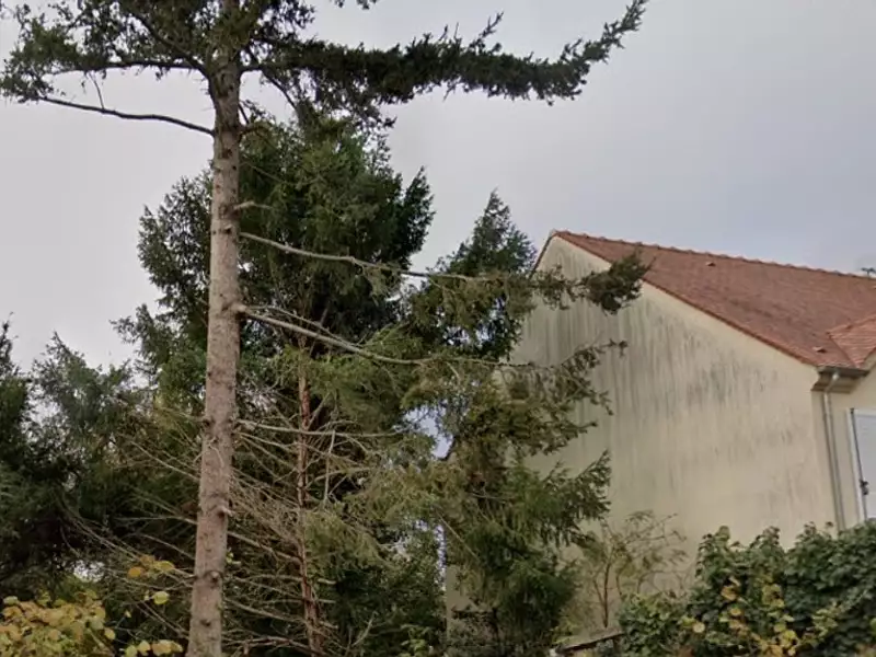 Terrain à bâtir, 644 m² - Saint-Michel-sur-Orge (91240)