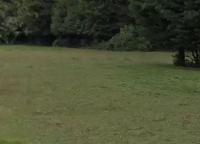 Maison neuve, 125 m²