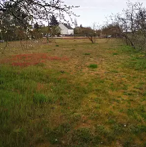 Terrain à bâtir, 612 m²