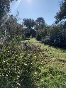 Terrain à bâtir, 670 m²