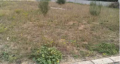 Terrain à bâtir, 660 m²