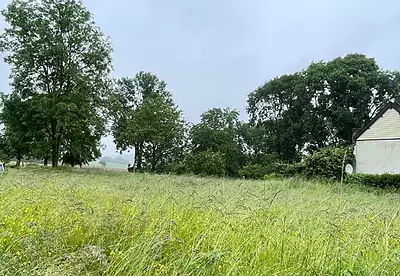 Terrain à bâtir, 800 m²